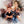 Load image into Gallery viewer, family portrait (1 to 8 people)