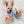 Load image into Gallery viewer, custom pet portrait