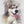 Load image into Gallery viewer, custom pet portrait