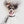 Load image into Gallery viewer, dog portrait (1 to 5 pets)