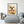 Load image into Gallery viewer, dog portrait (1 to 5 pets)